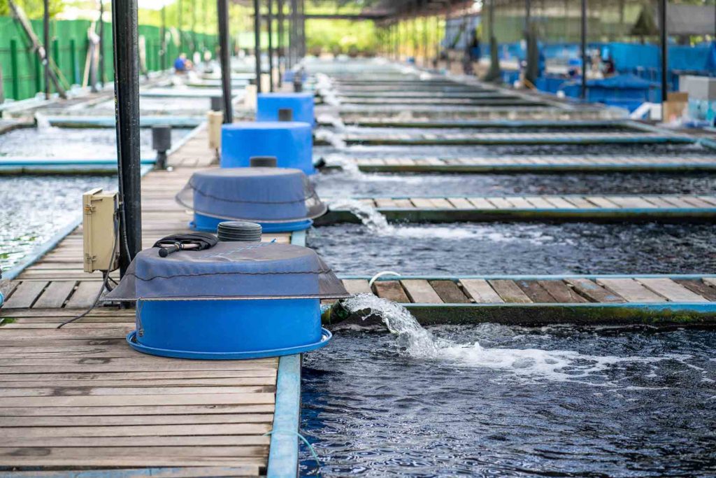 Water flow treatment system from the water pump pipe.Motion of water gushing out of the pipe from Koi Pond Carp fish farm for oxygen.Water was drain by tube pvc.Industrial wastewater treatment.