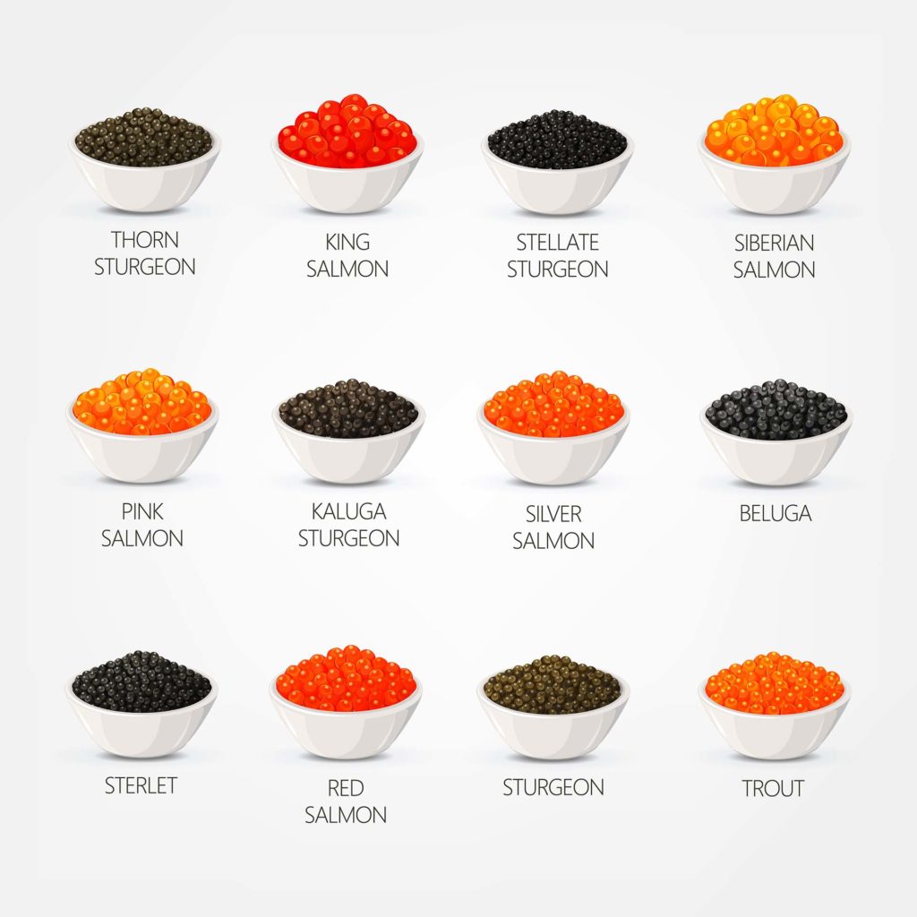 Fish caviare isolated on plates. Set of seafood thorn or stellate, kaluga sturgeon, king and silver, siberian and pink, red salmon, beluga and sterlet, trout isolated. Food and wealth, roe, nutrition